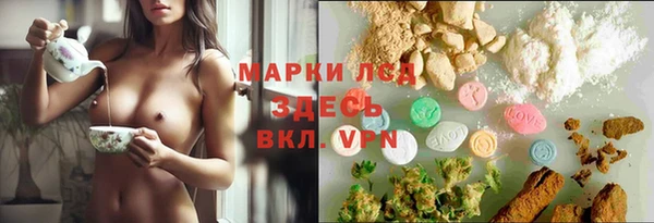 прущие грибы Аркадак