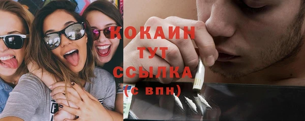 PSILOCYBIN Армянск