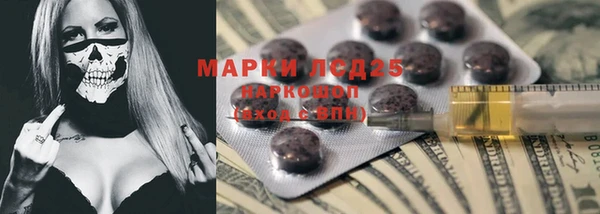 прущие грибы Аркадак