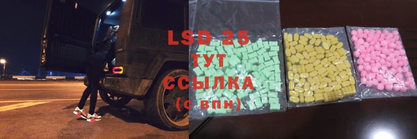 прущие грибы Аркадак