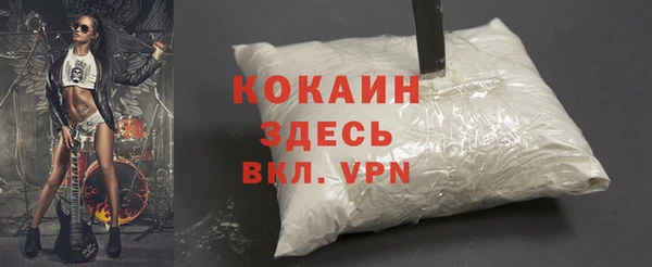 прущие грибы Аркадак