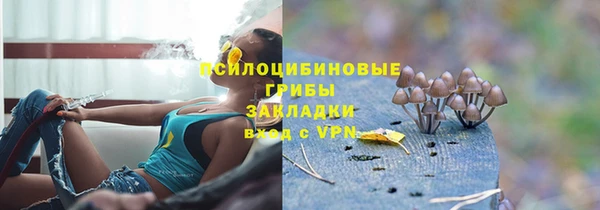 прущие грибы Аркадак