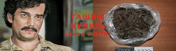 прущие грибы Аркадак