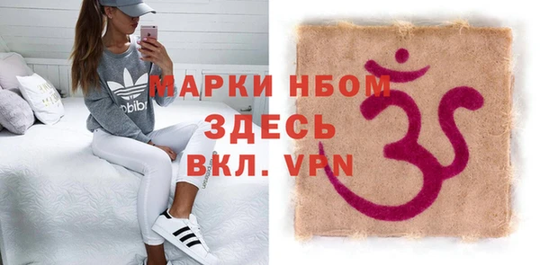 прущие грибы Аркадак