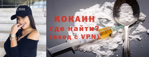 прущие грибы Аркадак